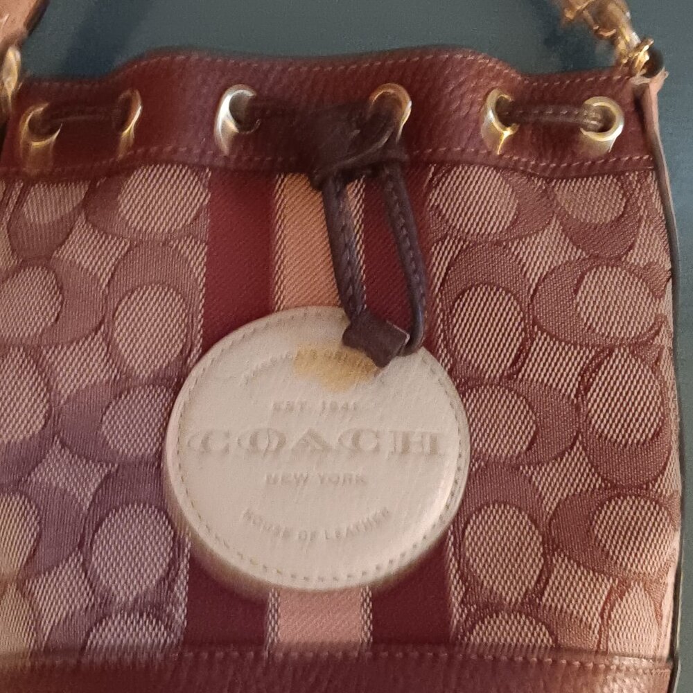 Mini Coach Bag